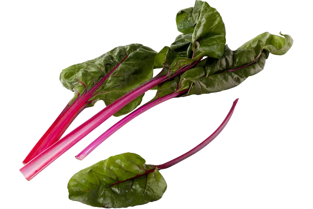 Snijbiet