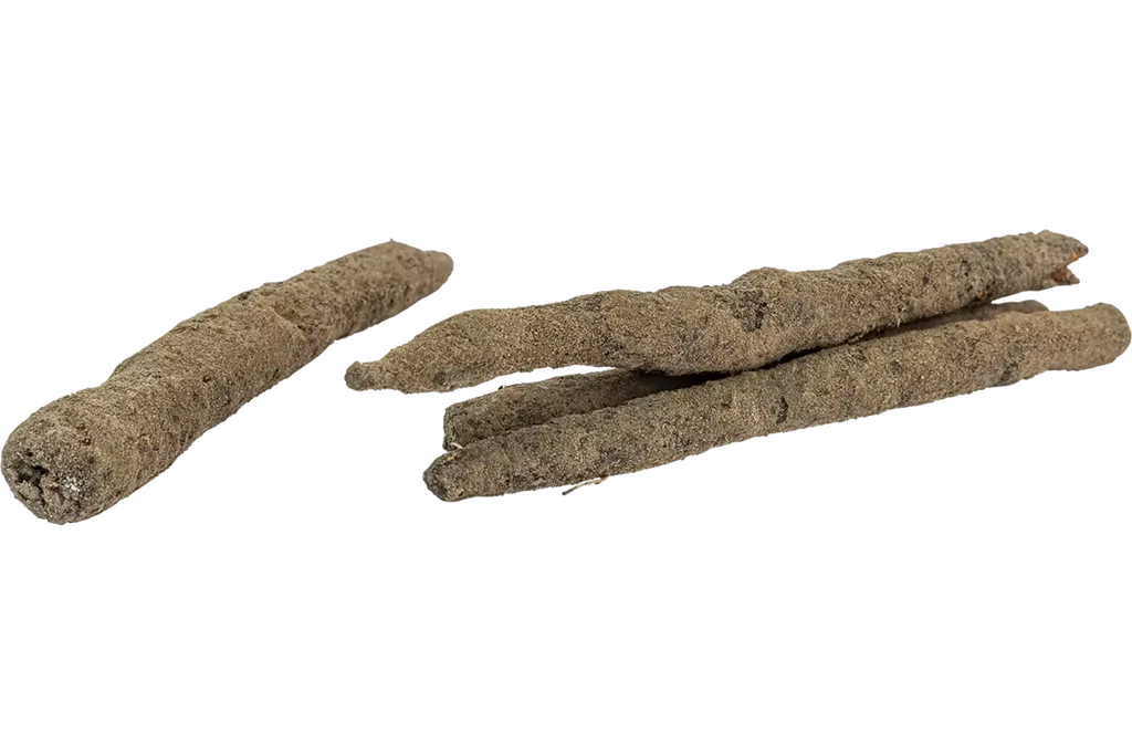 Schorseneren