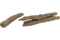 Schorseneren