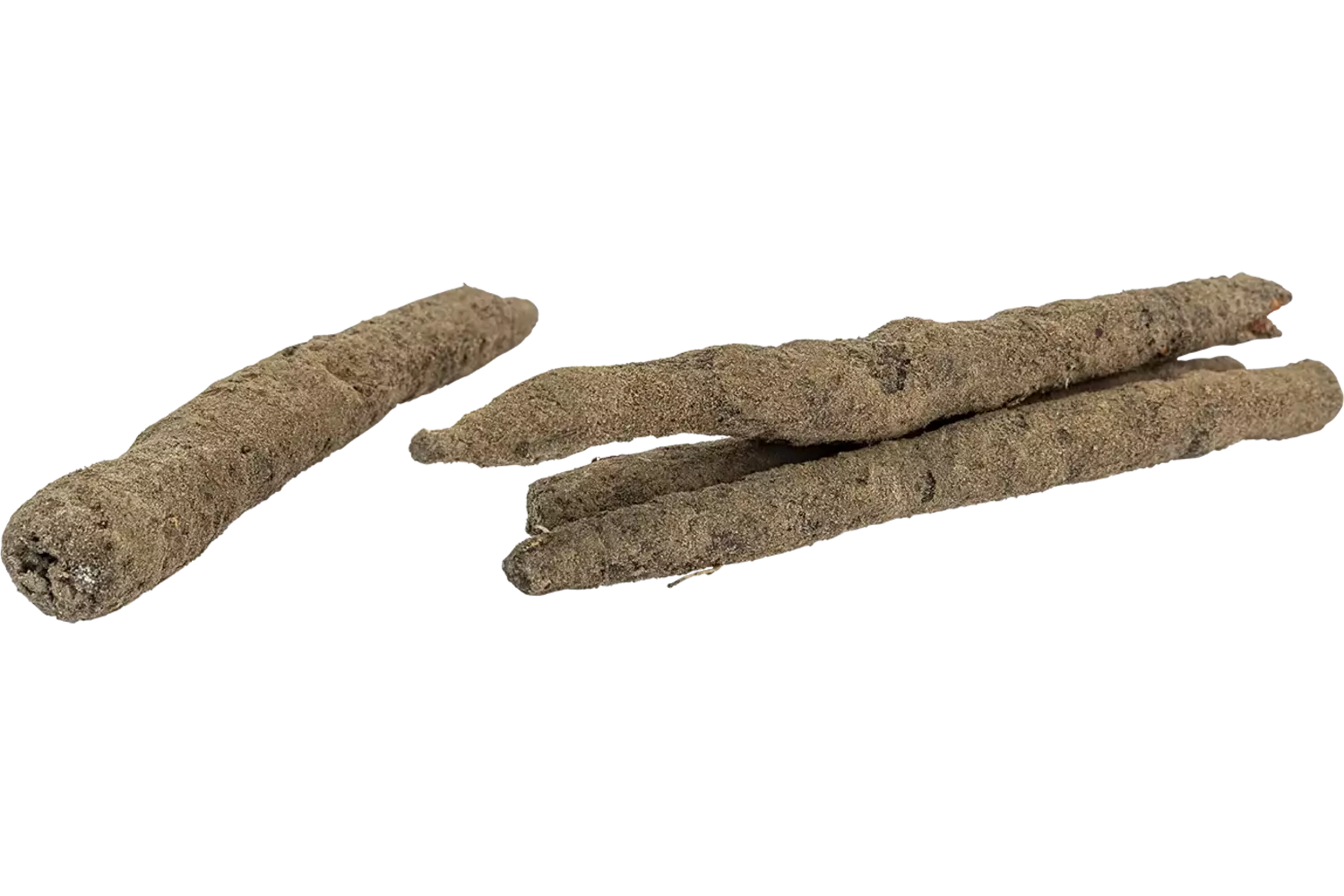 Schorseneren