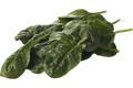 Spinazie