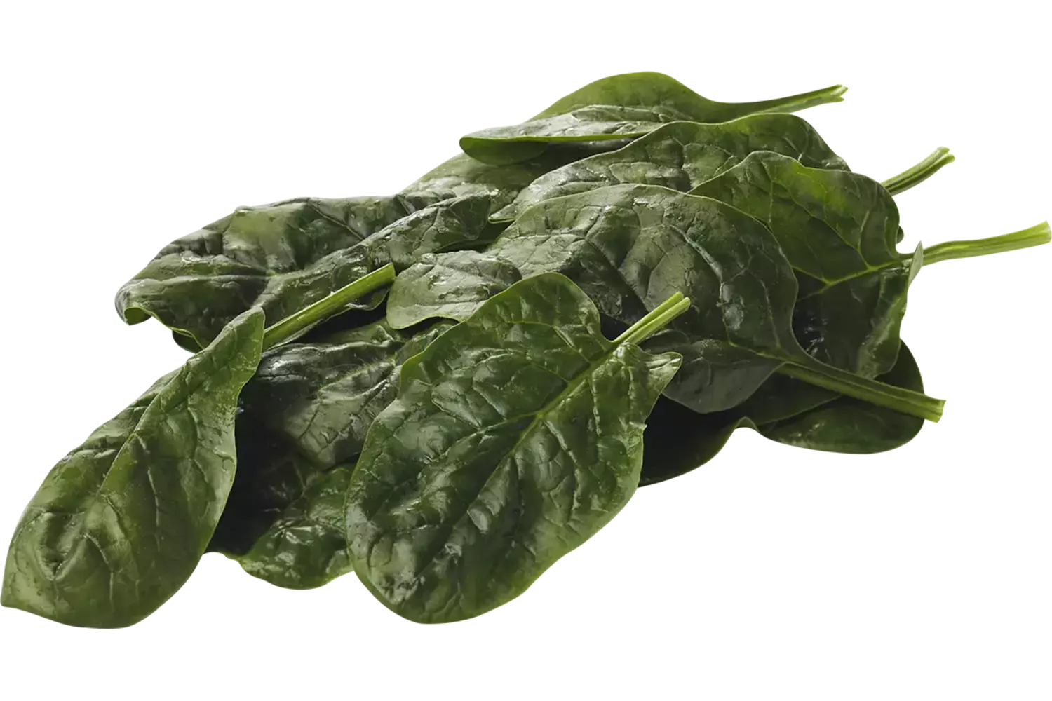 Spinazie