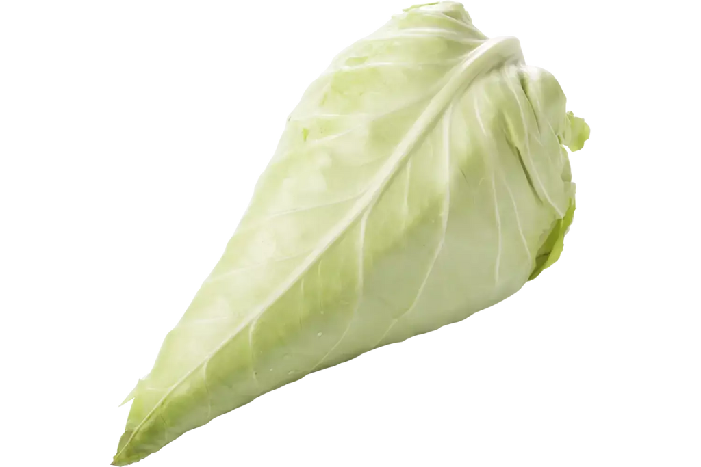 Spitskool