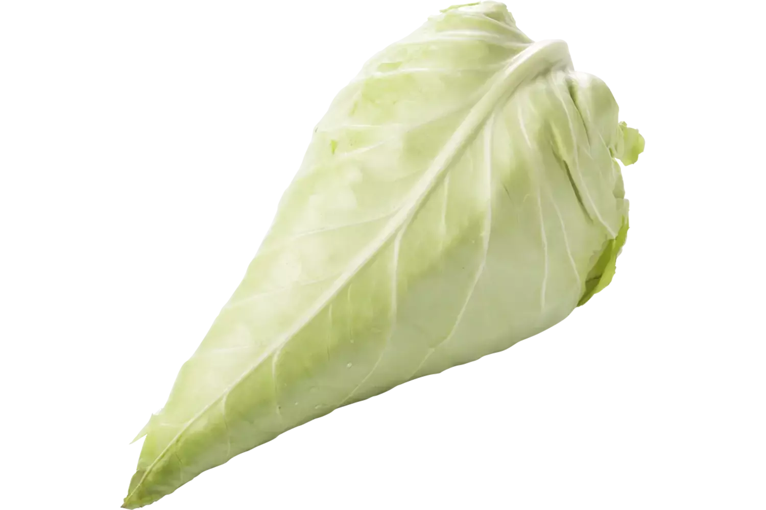 Spitskool