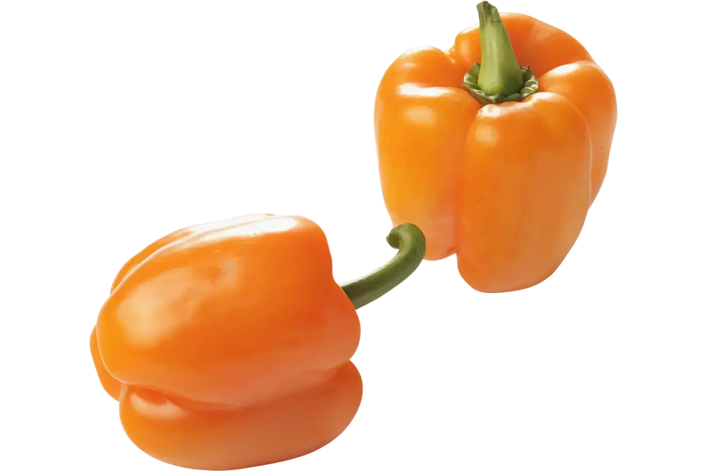 Paprika