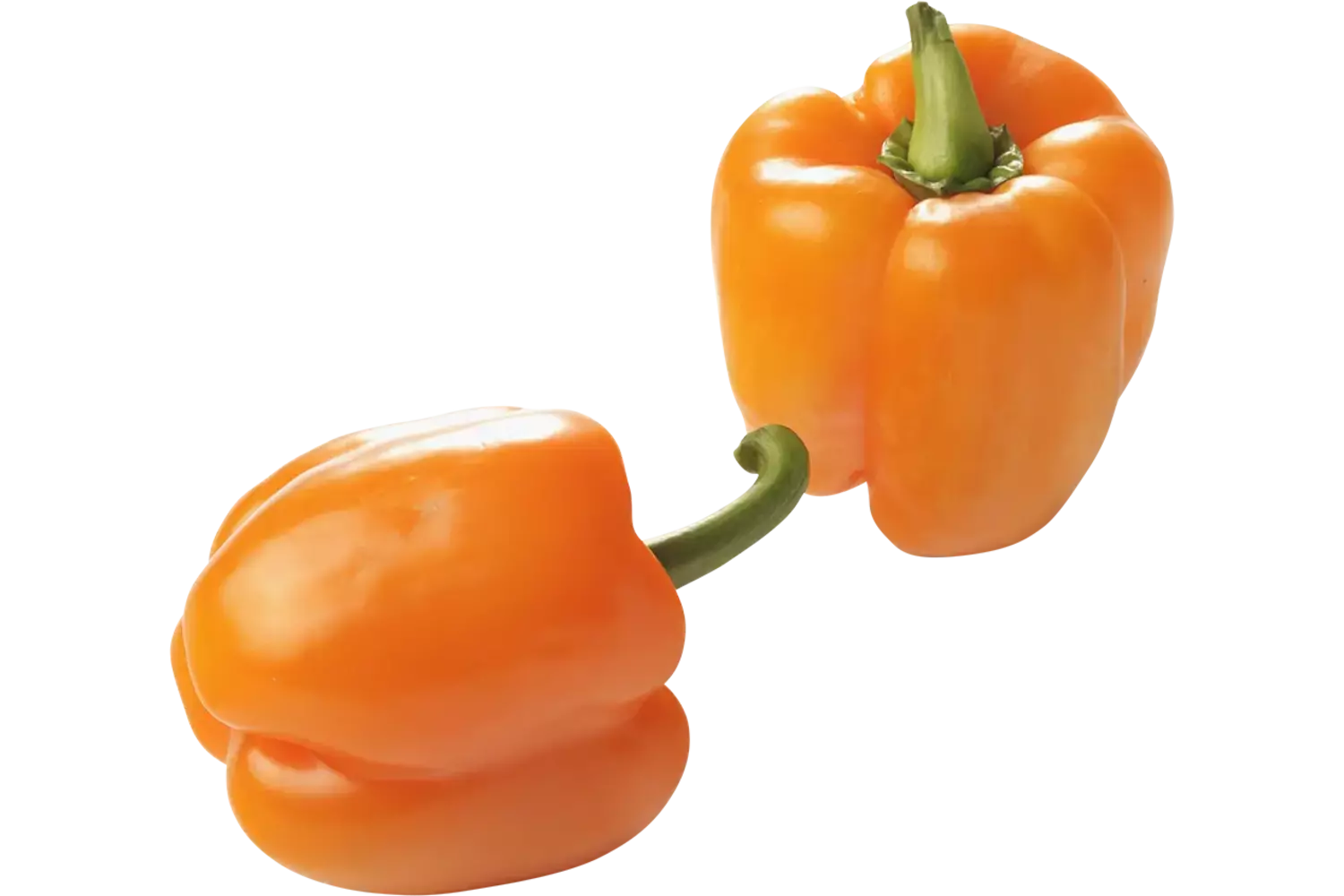 Paprika