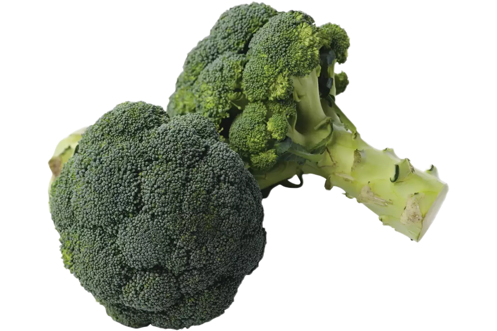 Brocolli