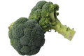 Brocolli