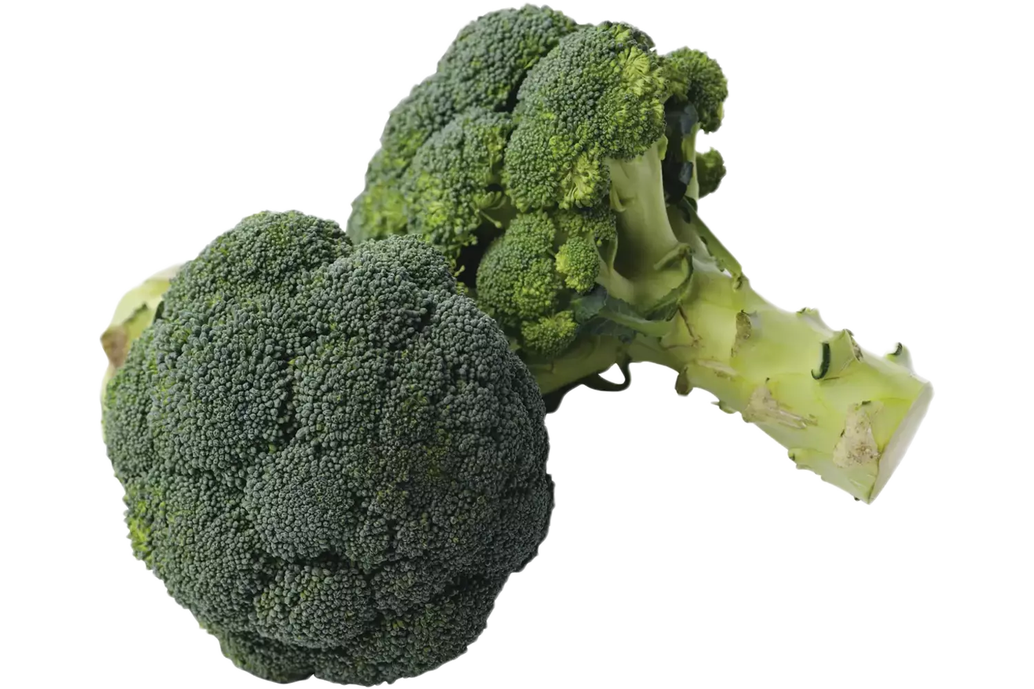 Brocolli