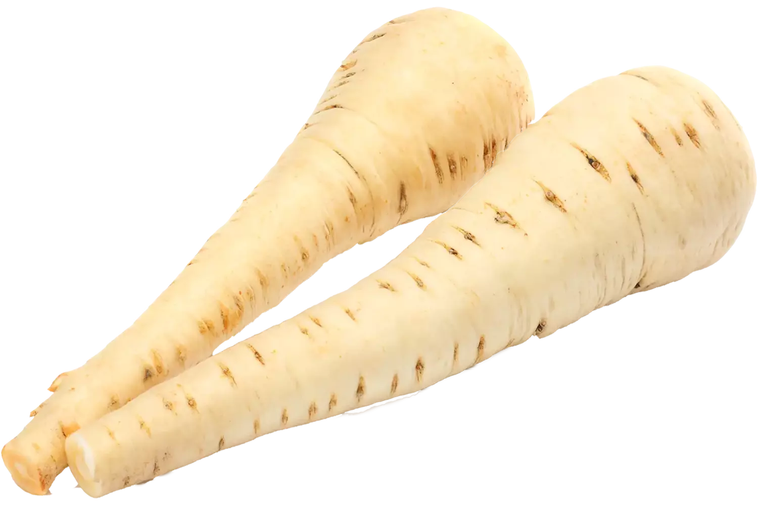 Pastinaak