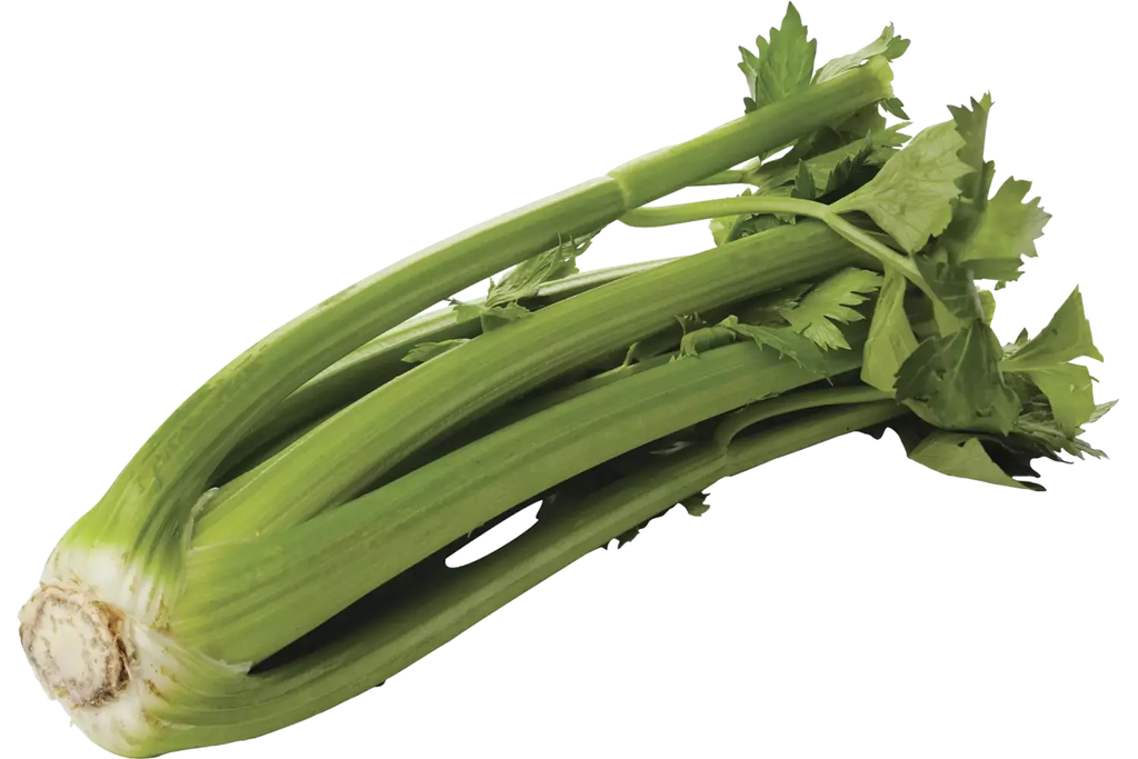 Bleekselderij
