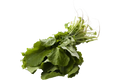 Raapstelen