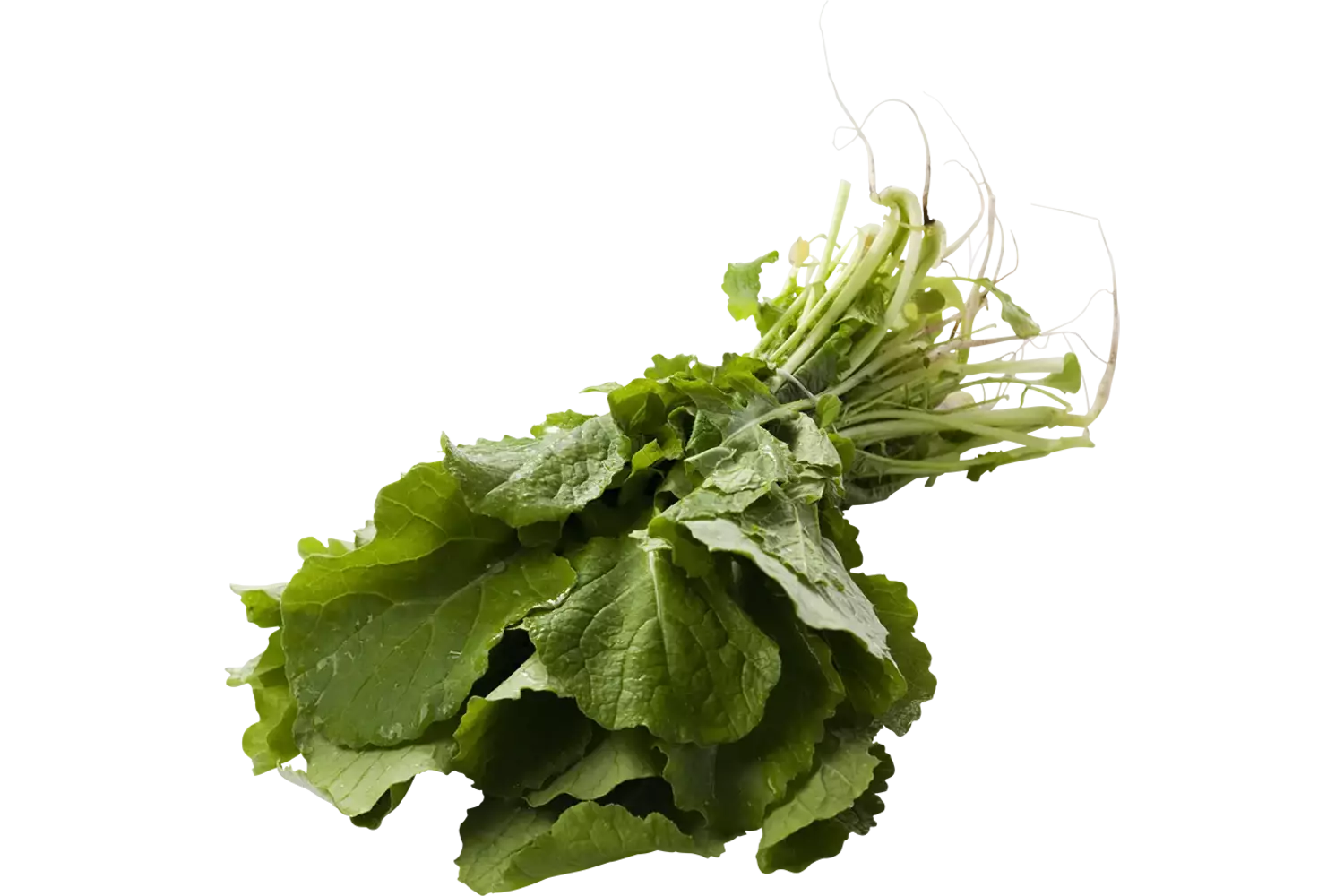 Raapstelen