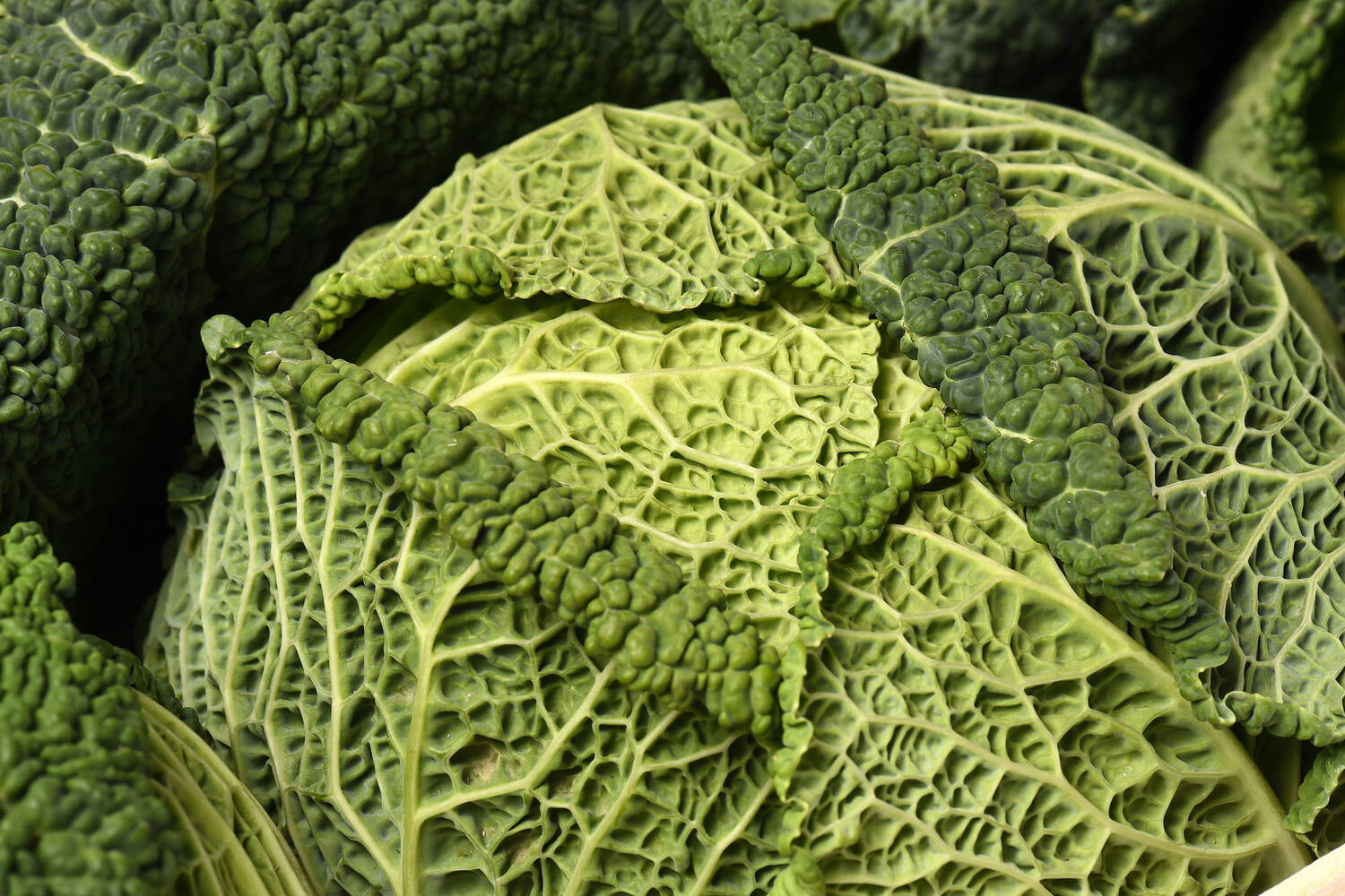 Groene kool