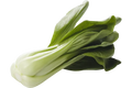 Paksoi