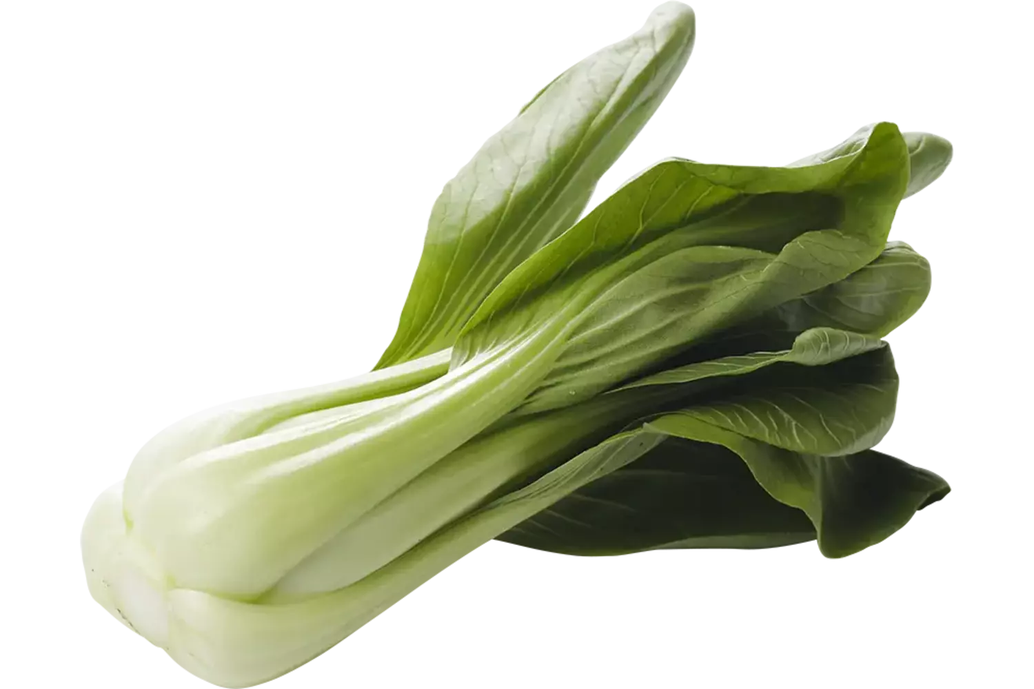 Paksoi