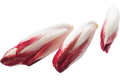 Roodlof