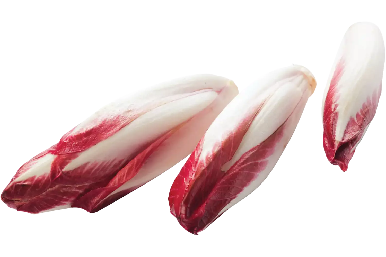 Roodlof
