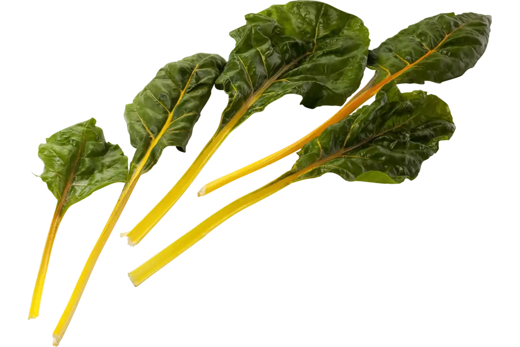 Snijbiet