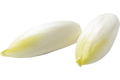 Witlof