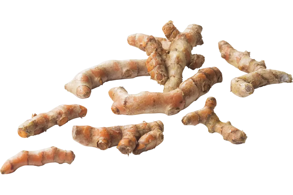 Kurkuma