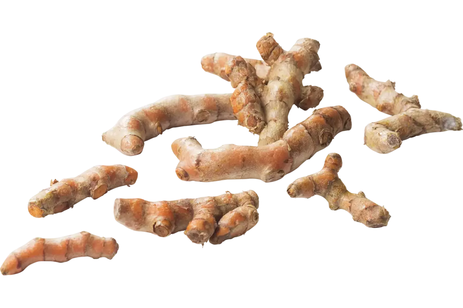 Kurkuma
