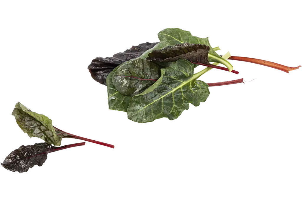 Snijbiet