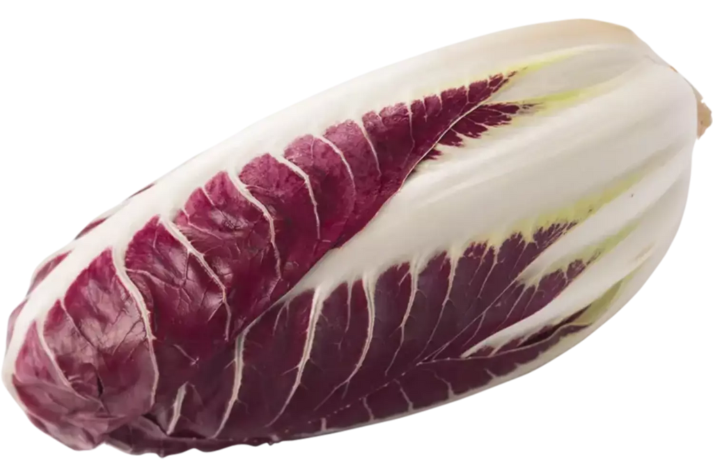 Roodlofsla (Treviso Precoce)