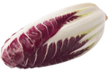 Roodlofsla (Treviso Precoce)