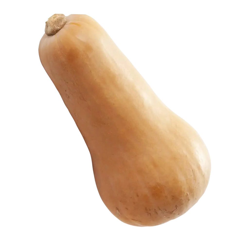 Flespompoen Butternut