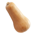 Flespompoen Butternut