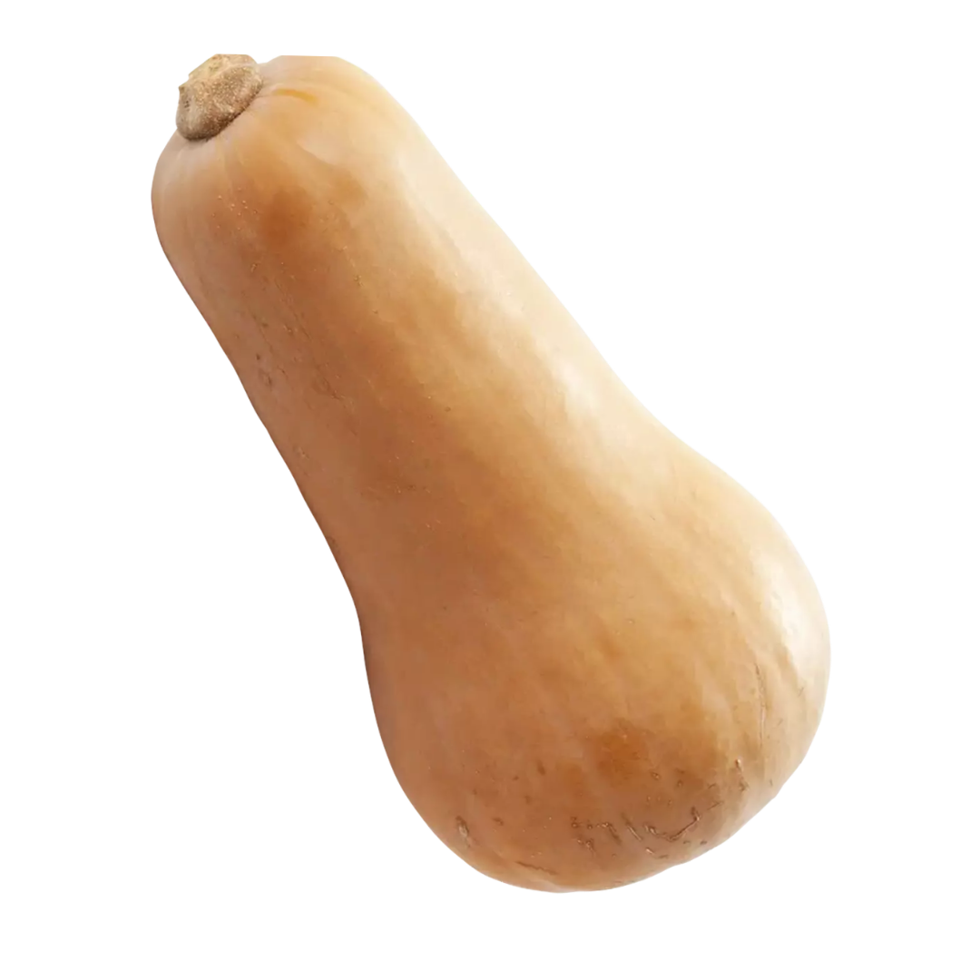 Flespompoen Butternut
