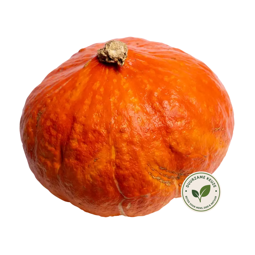 Hokkaido Pompoen duurzaam