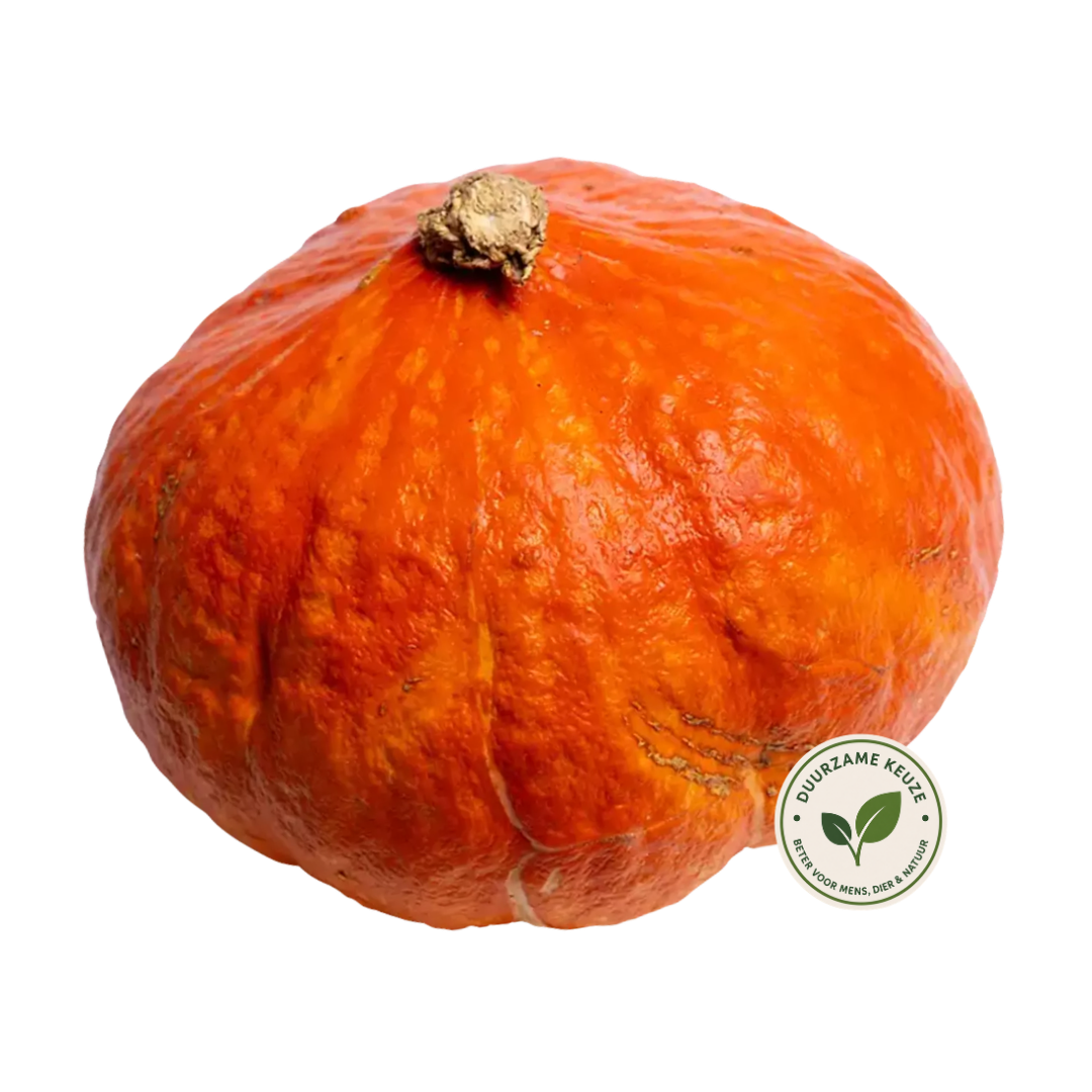 Hokkaido Pompoen duurzaam