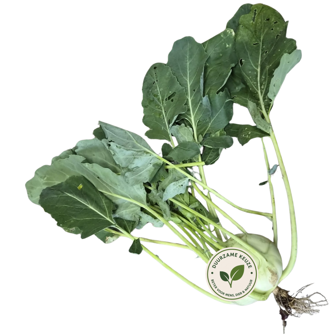 Koolrabi duurzaam
