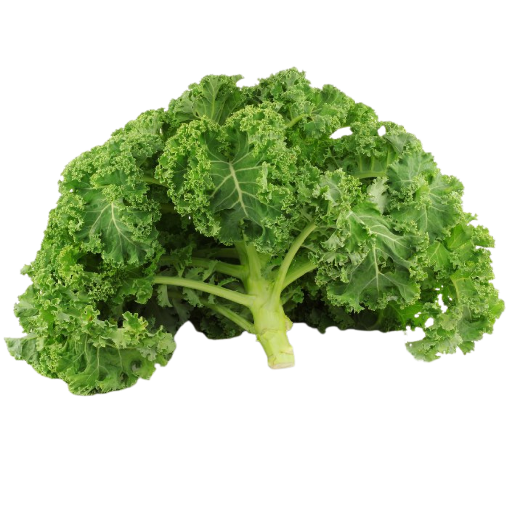 Boerenkool