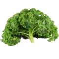 Boerenkool