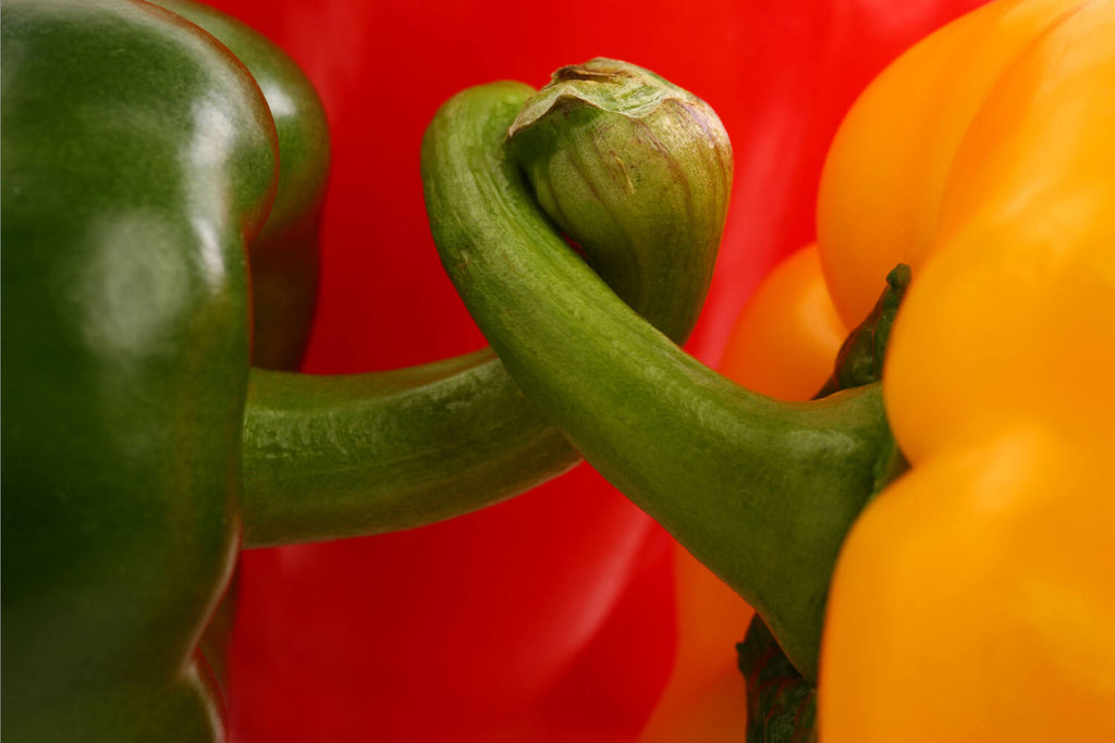Paprika