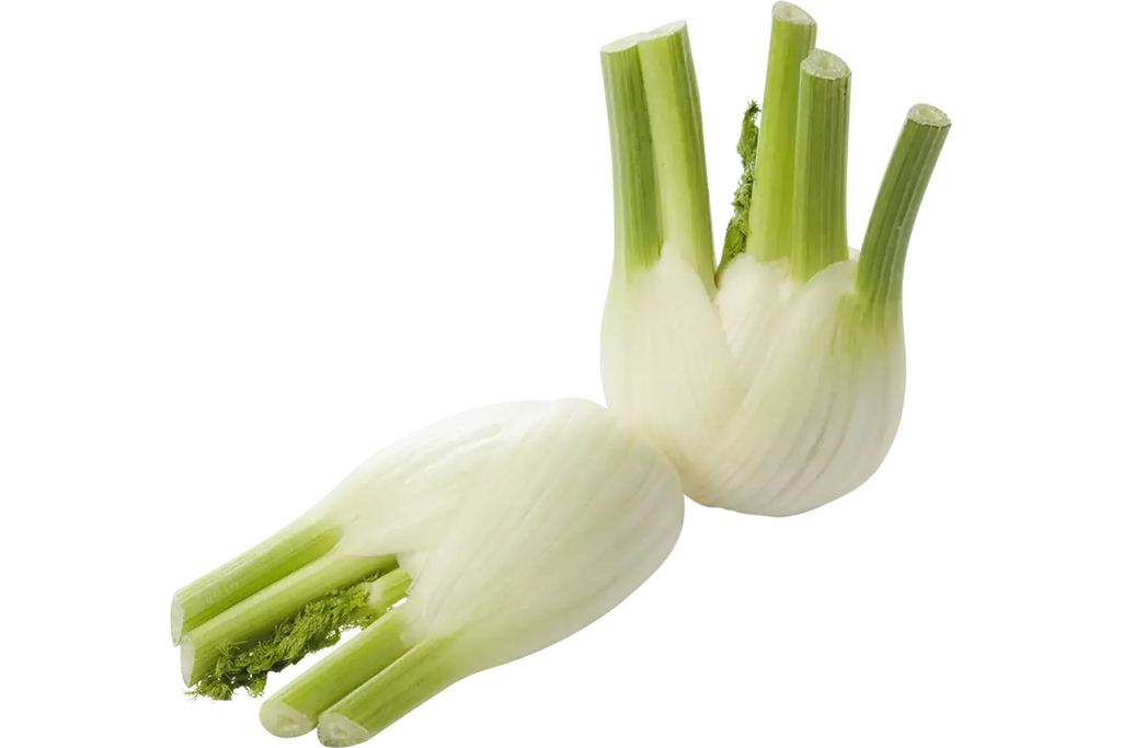 Venkel
