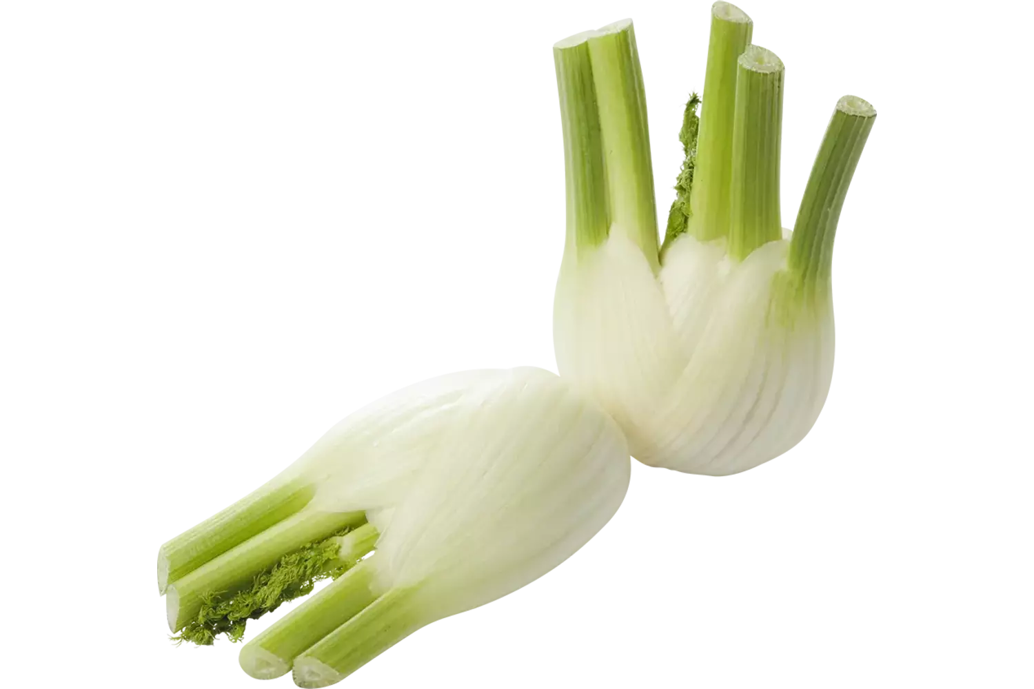 Venkel