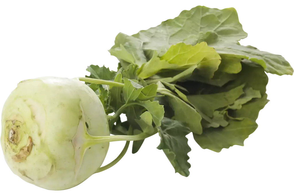 Koolrabi