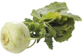 Koolrabi
