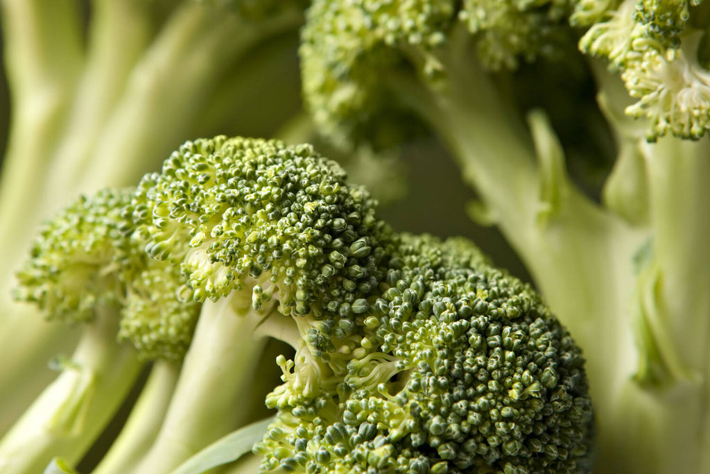 Brocolli