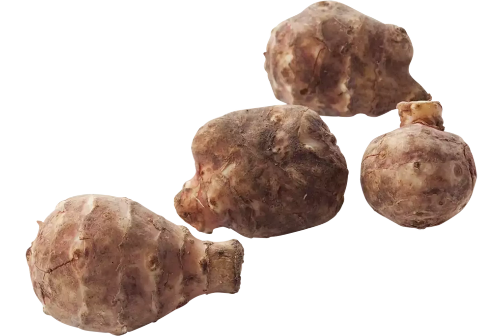 Aardpeer