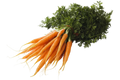 Bospeen