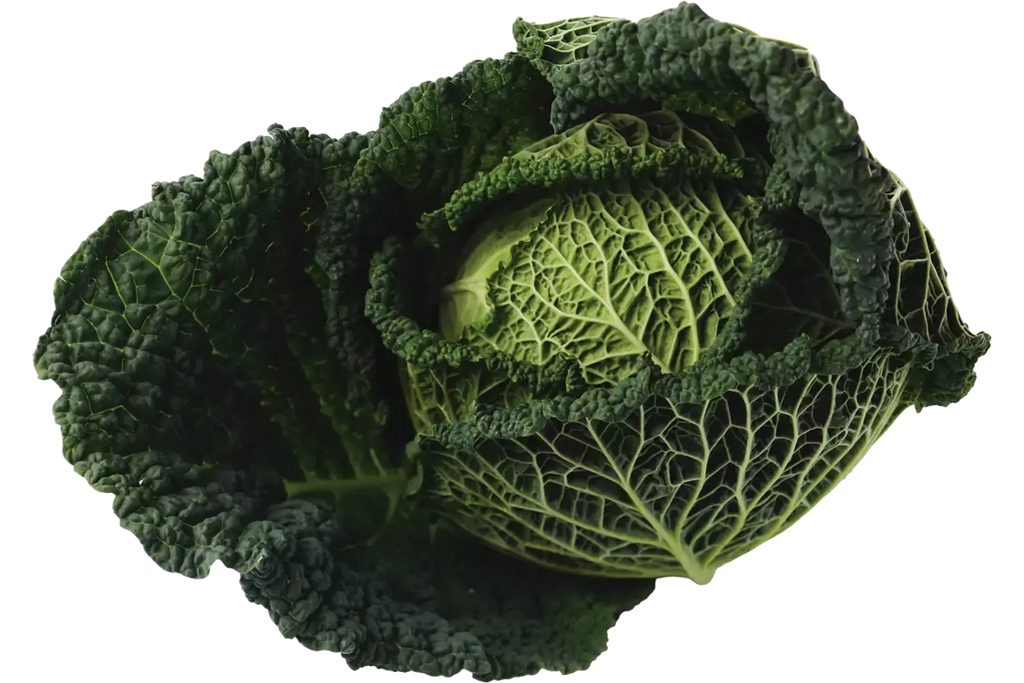 Groene kool