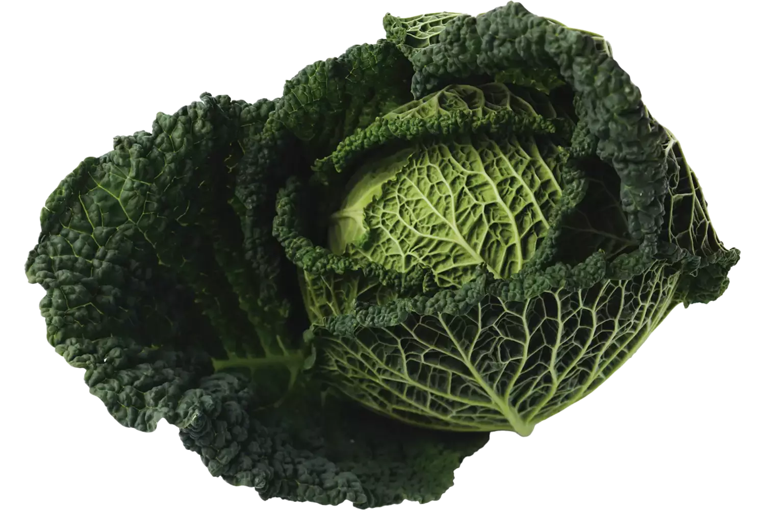 Groene kool