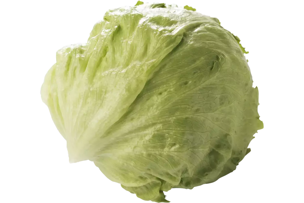 Ijsbergsla